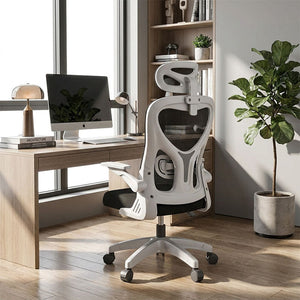 Conference Chairs