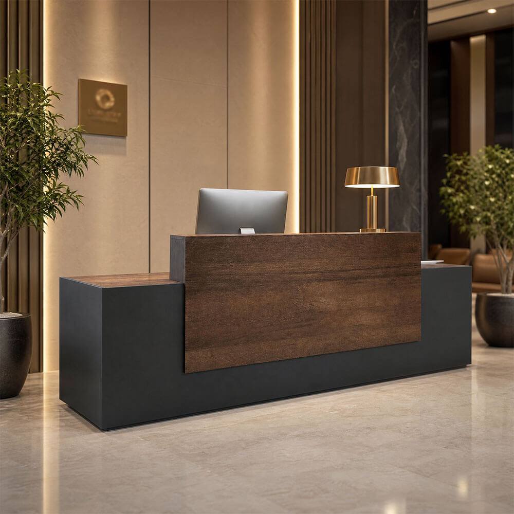 Modern Reception Counter with Storage for Professional Offices